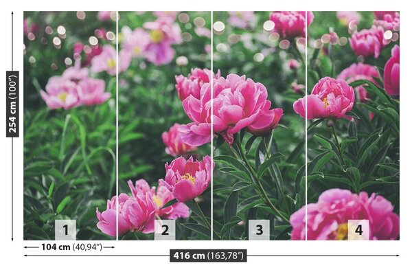 Carta da parati Peonie rosa 104x70 cm