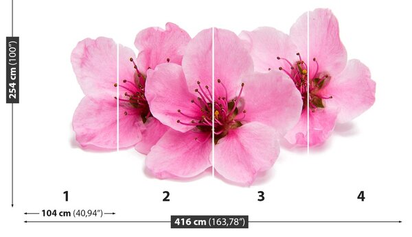 Carta da parati Fiori di ciliegio 104x70 cm
