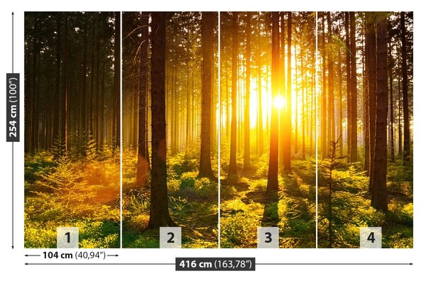 Carta da parati Foresta del sole 104x70 cm