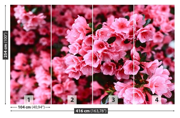 Carta da parati Rhododendron rosa 104x70 cm