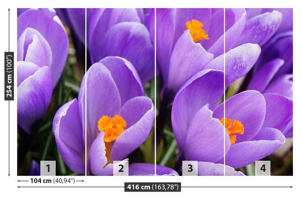 Carta da parati Crocus viola 104x70 cm