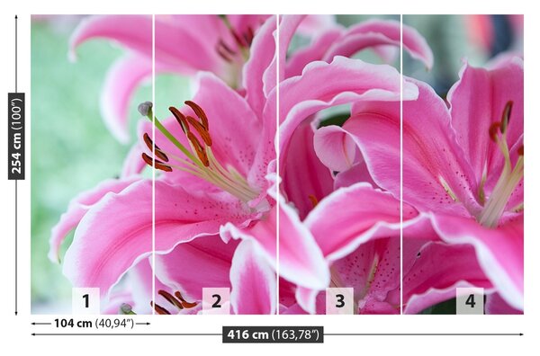 Carta da parati Lily rosa 104x70 cm