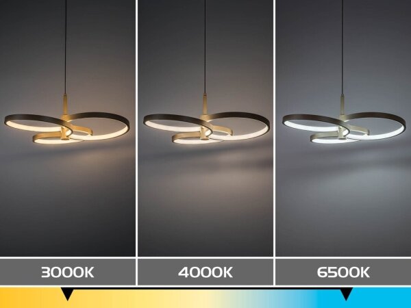 Rabalux 72400 - Lampada a sospensione LED dimmerabile su cavo ISIDORA 50W/230V 3000-6500K + telecomando
