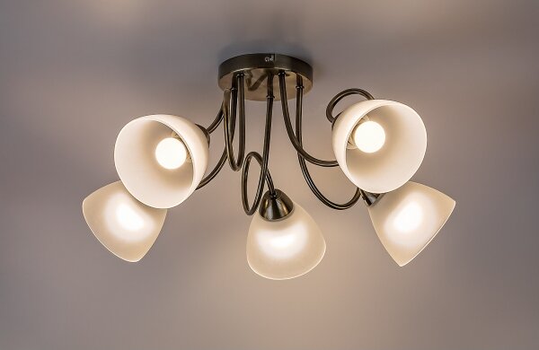 Rabalux 71482 - Plafoniera PALOMINA 5xE27/60W/230V