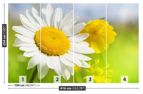 Carta da parati Fiori di camomilla 104x70 cm