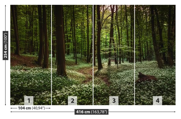 Carta da parati Foresta di primavera 104x70 cm