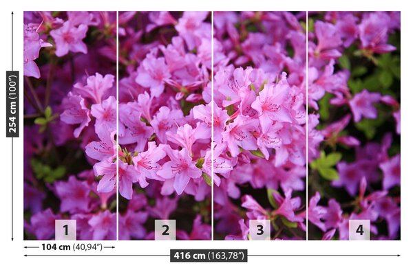 Carta da parati Rhododendron Pink 104x70 cm