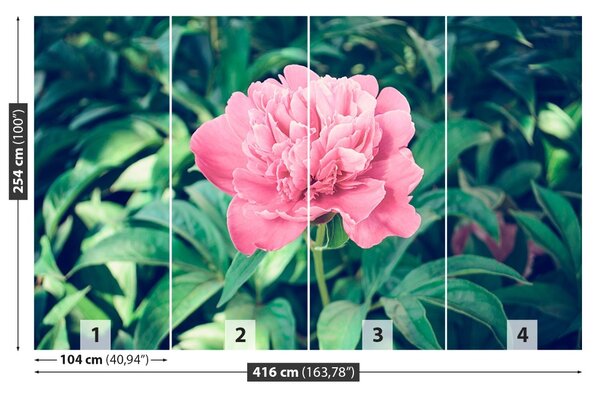 Carta da parati Peonie rosa 104x70 cm