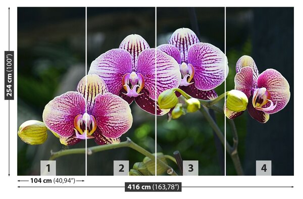 Carta da parati Orchidea viola 104x70 cm