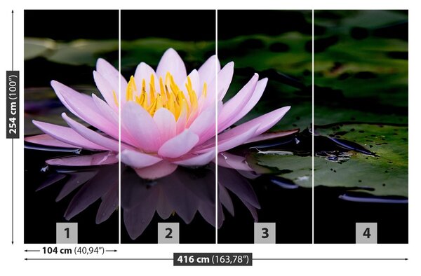 Carta da parati Loto rosa 104x70 cm