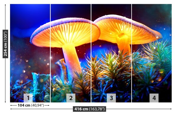 Carta da parati Funghi forestali 104x70 cm