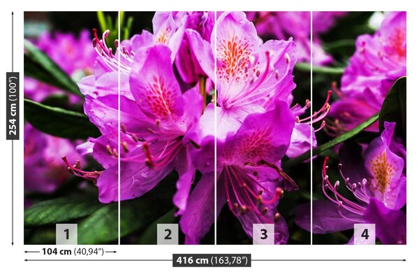 Carta da parati Fiori viola 104x70 cm