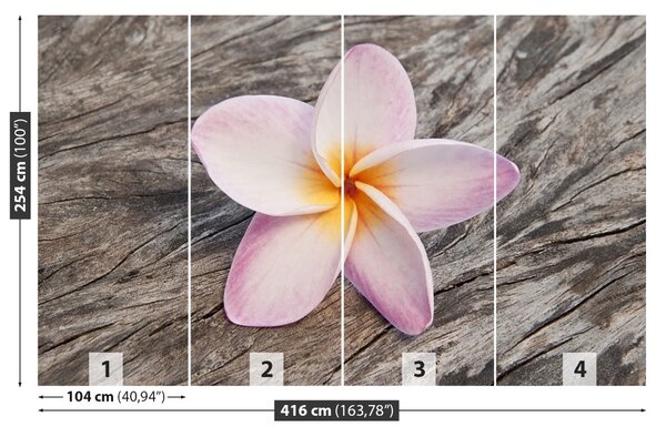 Carta da parati Legno frangipani 104x70 cm