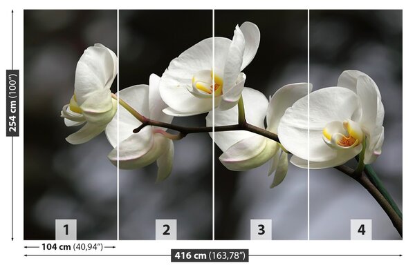 Carta da parati Orchidea bianca 104x70 cm