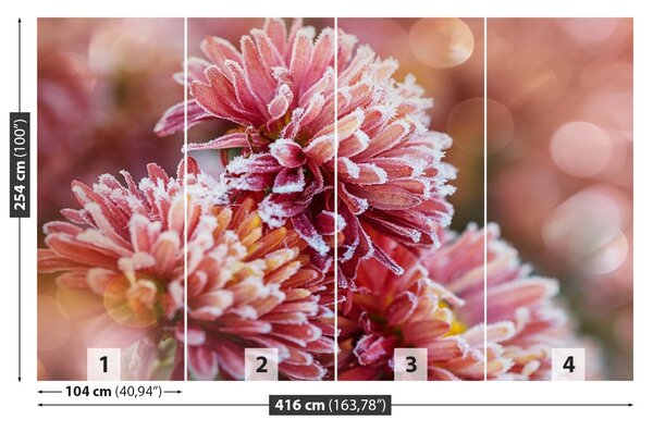 Carta da parati Aster rosa ghiaccio 104x70 cm