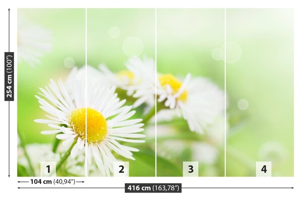 Carta da parati Green Daisy 104x70 cm