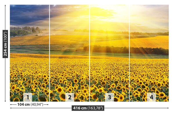 Carta da parati Campo di girasole 104x70 cm