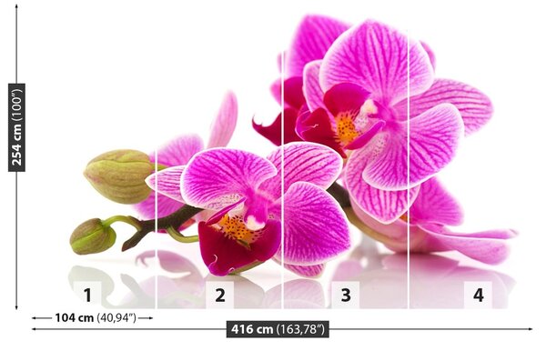 Carta da parati Fiori di orchidea 104x70 cm