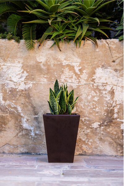 Portavaso Vaso in polietilene EGIZIO LISCIO 30x30xh 39 cm ideale per arredare al meglio sia un ambiente interno che esterno tortora