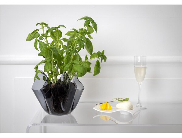 Vaso, Centrotavola, Forma Iconica in Plexiglass SLIM Linea Drappeggi D'AUTORE Dimensioni 22x21x h 21 cm - 0,5 kg Colore Grigio Trasparente