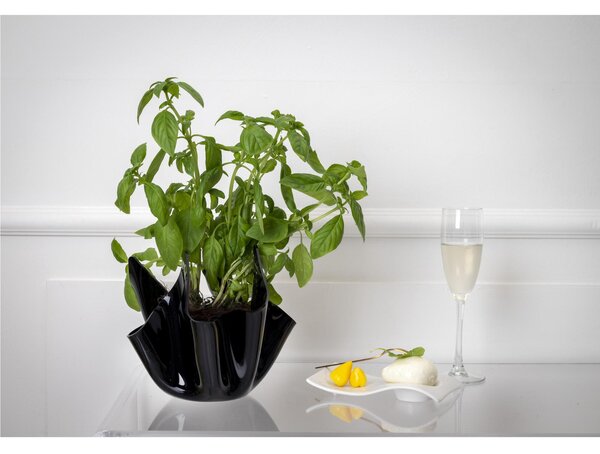 Vaso, Centrotavola, Forma Iconica in Plexiglass SLIM Linea Drappeggi D'AUTORE Dimensioni 22x21x h 21 cm - 0,5 kg Colore NERO