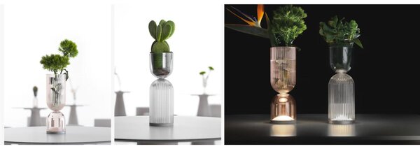 Lampada da Tavolo Alba Lamp B Dimensioni 8x H 23 cm - ideale per aggiungere un tocco di luminosit� e bellezza floreale Colore Rosa Fum� trasparente
