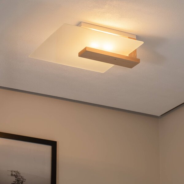 Plafoniera soffitto Peach Puff Envostar, dimmerabile, Legno chiaro, Soggiorno / Sala da pranzo, Vetro, Moderno, Plafoniera
