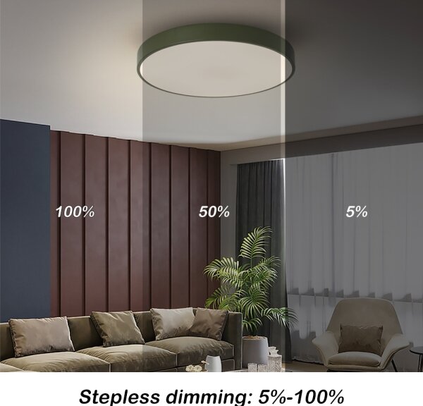 Brilagi - Plafoniera LED dimmerabile POOL LED/60W/230V 3000-6000K 50 cm verde + telecomando