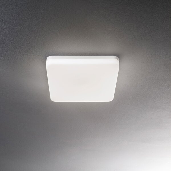 Fabas Luce Plafoniera per esterno a LED a soffitto moderna diffusore in policarbonato - Folk