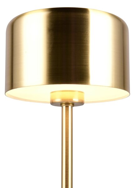 Lampada da tavolo a LED dimmerabile in oro (altezza 30 cm) Jeff - Trio