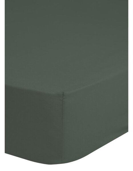 Lenzuolo di cotone sateen elasticizzato verde scuro, 180 x 200 cm - HIP