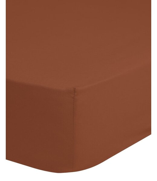 Lenzuolo elastico in cotone arancione scuro, 160 x 200 cm - Good Morning
