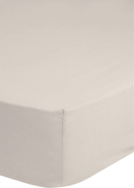 Lenzuolo elastico di cotone beige, 180 x 200 cm - Good Morning