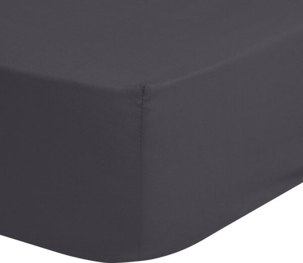Lenzuolo elastico in cotone grigio scuro, 90 x 200 cm - Good Morning