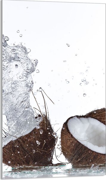 Piastra copri piano cottura 30x52 Piastra copri piano cottura in Vetroceramica alzatina in vetro tagliere decorativo, acqua di cocco