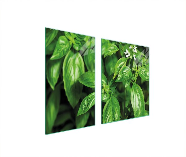 Piastre copri fornelli 2 pezzi 100x52 Vetroceramica copri piano cottura vetro tagliere fogliame verde