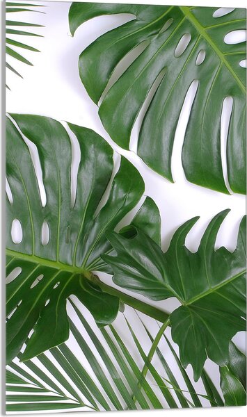 Piastra copri fornelli 30x52 Piastra copri piano cottura in Vetroceramica alzatina in vetro tagliere decorativo, fogliame Monstera