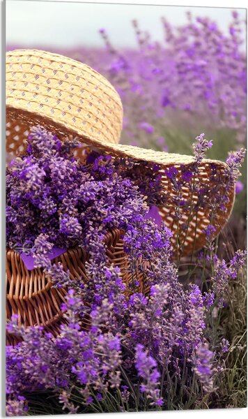 Piastra copriforno 30x52 Coperchio per piano cottura in Vetroceramica Paraspruzzi Piastra in vetro Tagliere decorativo, viola lavanda