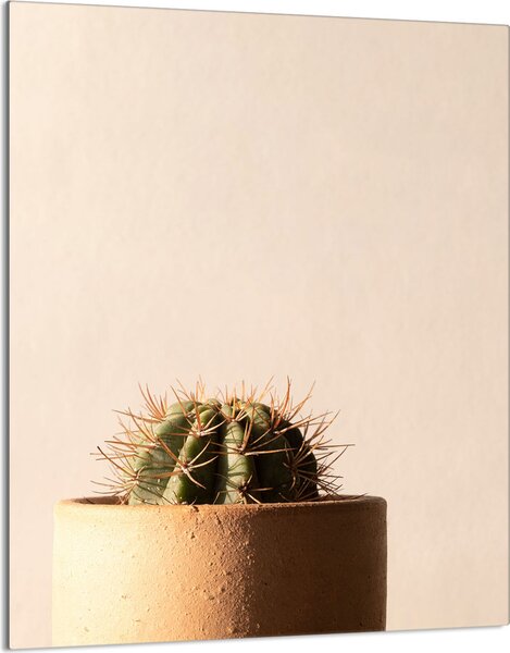 Piastra di copertura del piano cottura 40x52 Piastra di copertura del piano cottura in Vetroceramica, tagliere decorativo, beige cactus