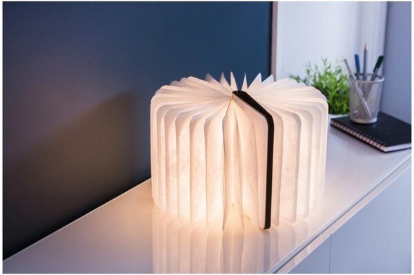 Decorazione luminosa marrone con ricarica USB Booklight – Gingko
