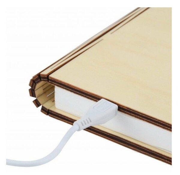 Decorazione luminosa nera con ricarica USB Booklight – Gingko