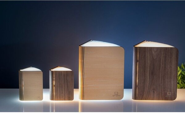 Decorazione luminosa nera con ricarica USB Booklight – Gingko