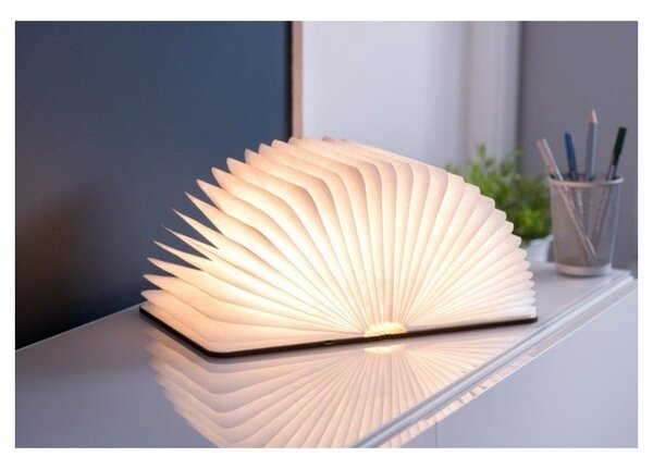 Decorazione luminosa marrone con ricarica USB Booklight – Gingko