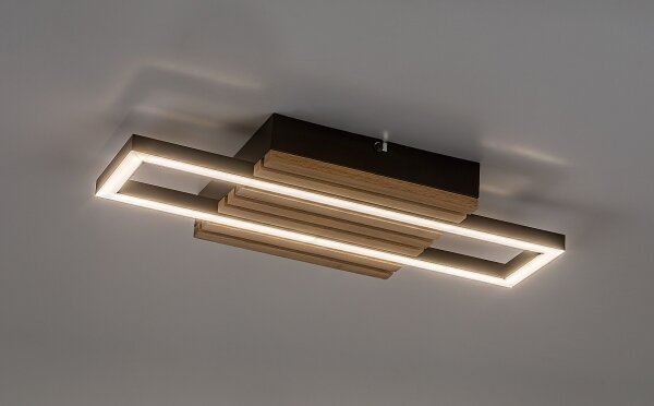 Rabalux 71455 - Plafoniera LED NOXELLE LED/12W/230V 3000/4500/6000K