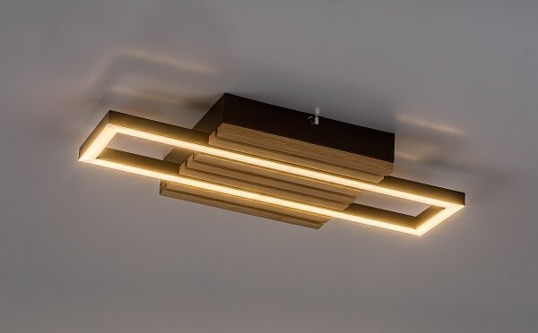 Rabalux 71455 - Plafoniera LED NOXELLE LED/12W/230V 3000/4500/6000K
