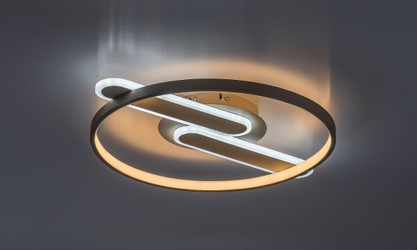 Rabalux 71468 - Plafoniera dimmerabile a LED BRANTIEL LED/55W/230V 3000-6000K 53x45 cm + telecomando