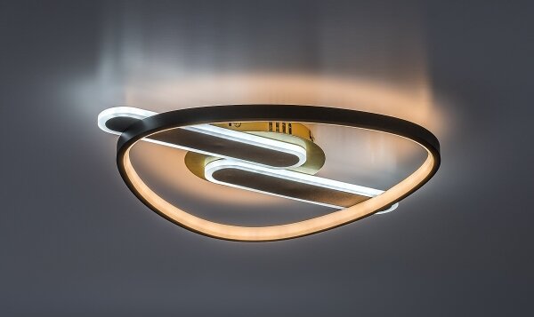 Rabalux 71467 - Plafoniera dimmerabile a LED BRANTIEL LED/60W/230V 3000-6000K 53x45 cm+telecomando