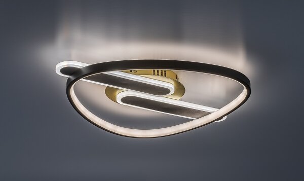 Rabalux 71467 - Plafoniera dimmerabile a LED BRANTIEL LED/60W/230V 3000-6000K 53x45 cm+telecomando