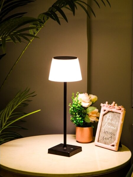 Immax 08492L - Lampada solare da esterno dimmergibile LED/4W/5V IP44