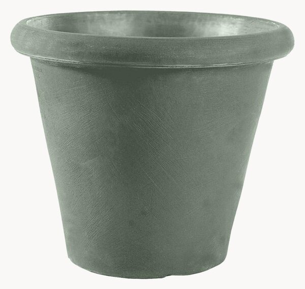 Portavaso Camelia